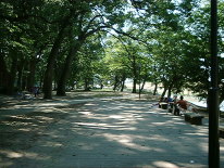 中之島公園